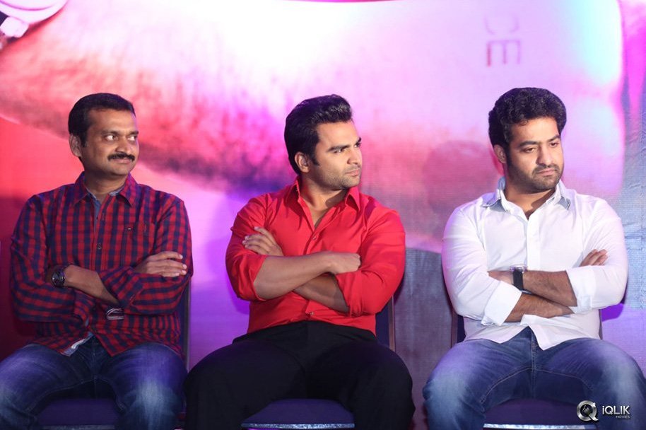 Temper-Movie-Success-Meet